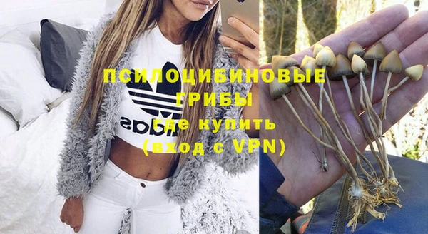 стаф Куйбышев