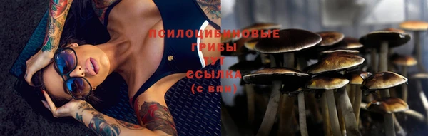 mdma Кукмор