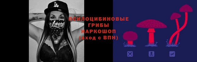 МДПВ Кулебаки