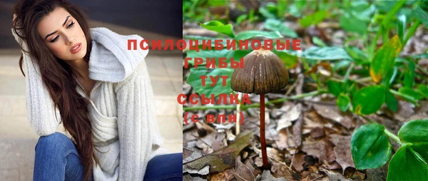 mdma Кукмор