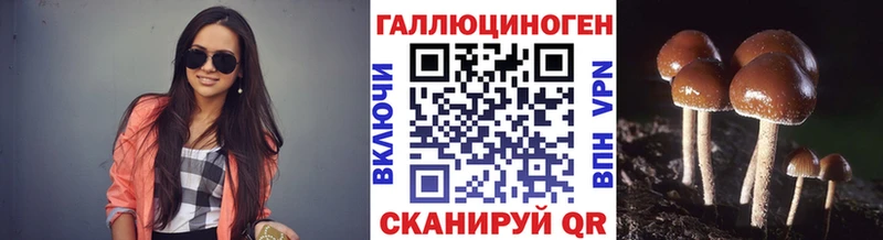 Купить закладки  Благодарный  Галлюциногенные грибы ЛСД 